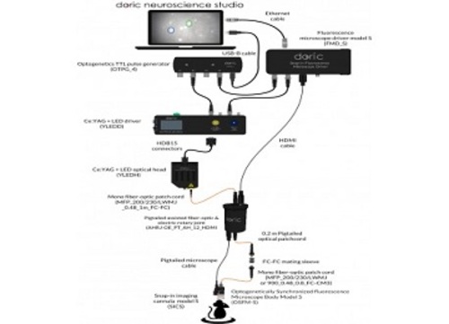 Optogenetically Synchronized Fluorescence Microscope System - Deep Brain