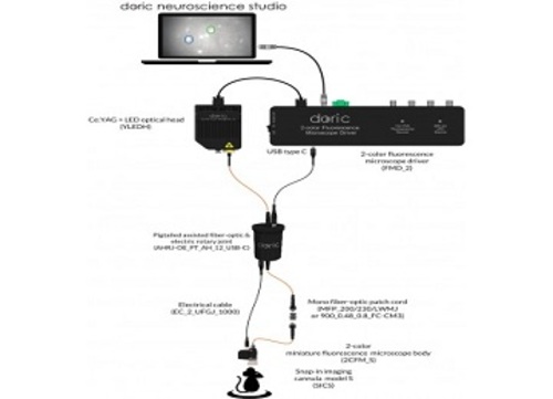 2-color Fluorescence Microscope System - Surface