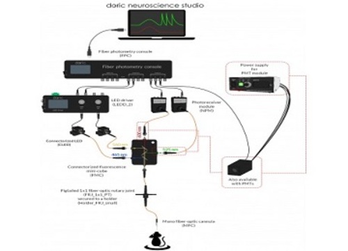 Fiber Photometry System - Single channel Two Colors - GFP + RFP